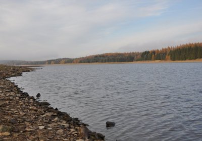 Přísečnice, Omnium, 2020