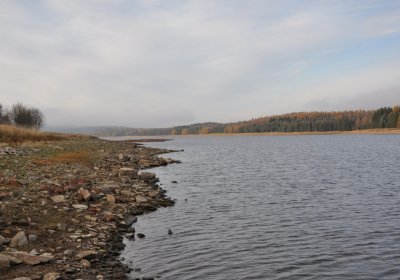 Přísečnice, Omnium, 2020