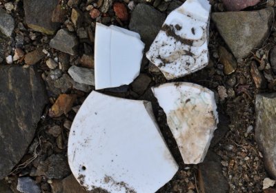 Přísečnice, Omnium, 2020