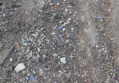 Přísečnice, Omnium, 2020