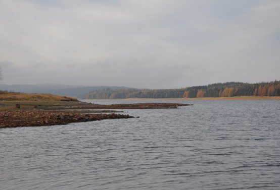 Přísečnice, Omnium, 2020