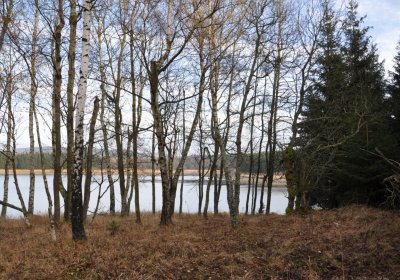 Přísečnice, Omnium, 2020