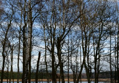 Přísečnice, Omnium, 2020