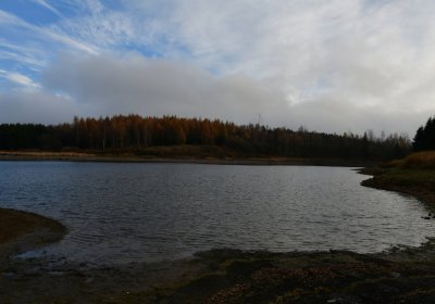 Přísečnice, Omnium, 2020