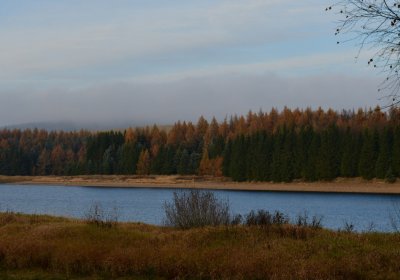 Přísečnice, Omnium, 2020