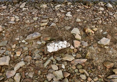 Přísečnice, Omnium, 2020