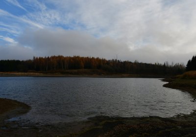 Přísečnice, Omnium, 2020