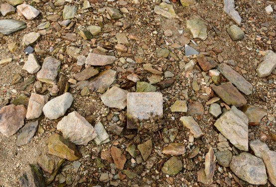 Přísečnice, Omnium, 2020