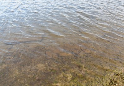 Přísečnice, Omnium, 2020