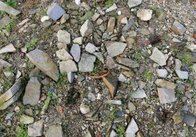 Přísečnice, Omnium, 2020