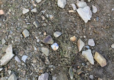 Přísečnice, Omnium, 2020