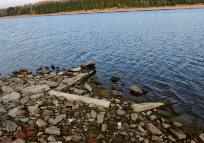 Přísečnice, Omnium, 2020