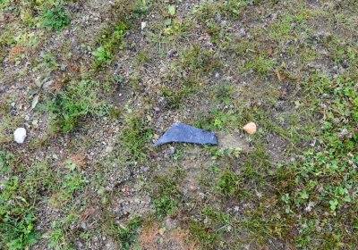 Přísečnice, Omnium, 2020