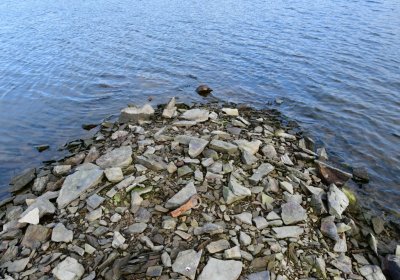 Přísečnice, Omnium, 2020