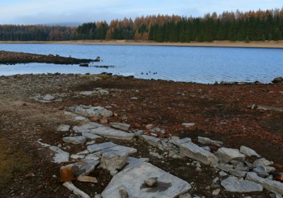 Přísečnice, Omnium, 2020