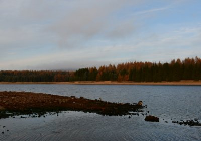 Přísečnice, Omnium, 2020