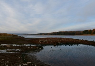 Přísečnice, Omnium, 2020