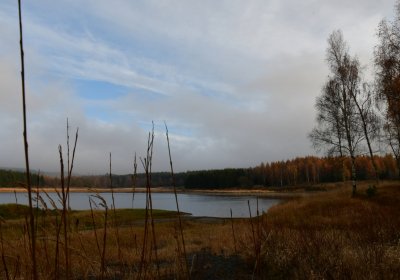 Přísečnice, Omnium, 2020