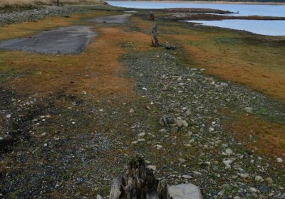 Přísečnice, Omnium, 2020