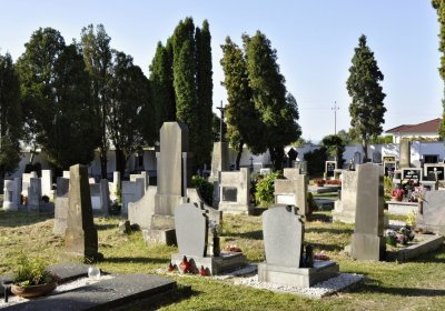 Sedláček Hugo, 2016