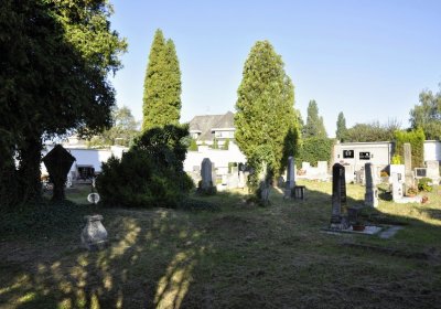 Sedláček Hugo, 2016