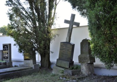 Sedláček Hugo, 2016