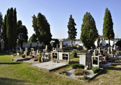 Sedláček Hugo, 2016