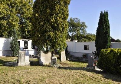 Sedláček Hugo, 2016