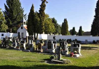 Sedláček Hugo, 2016