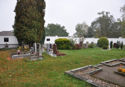 Černovice u Chomutova, Omnium, 2020