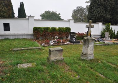 Černovice u Chomutova, Omnium, 2020