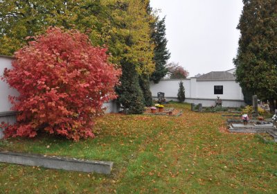 Černovice u Chomutova, Omnium, 2020