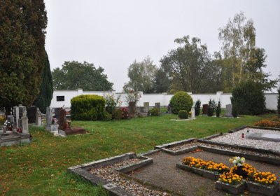 Černovice u Chomutova, Omnium, 2020