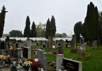 Černovice u Chomutova, Omnium, 2020