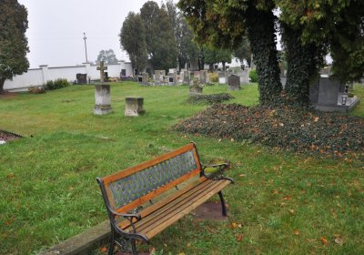 Černovice u Chomutova, Omnium, 2020