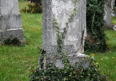 Černovice u Chomutova, Omnium, 2020