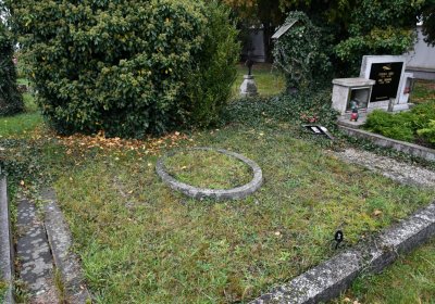 Černovice u Chomutova, Omnium, 2020