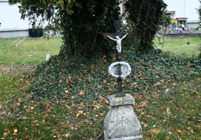 Černovice u Chomutova, Omnium, 2020