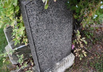 Černovice u Chomutova, Omnium, 2020