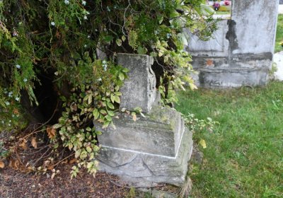 Černovice u Chomutova, Omnium, 2020