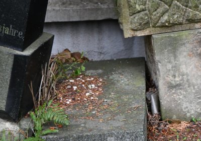 Černovice u Chomutova, Omnium, 2020