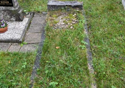 Černovice u Chomutova, Omnium, 2020