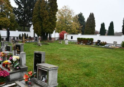 Černovice u Chomutova, Omnium, 2020