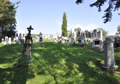 Sedláček Hugo, 2016