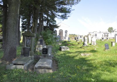 Sedláček Hugo, 2016