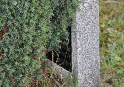 KOvářská, Omnium, 2020