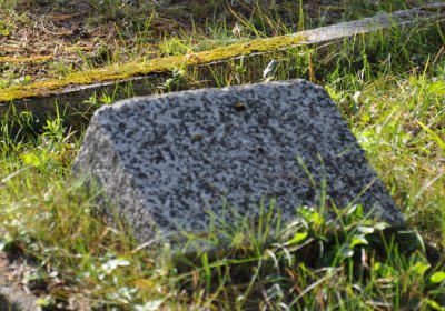 KOvářská, Omnium, 2020