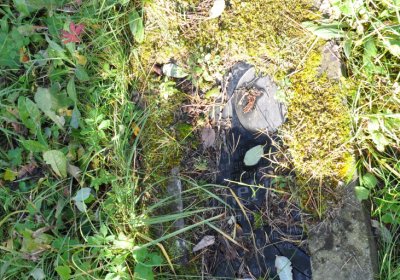 KOvářská, Omnium, 2020