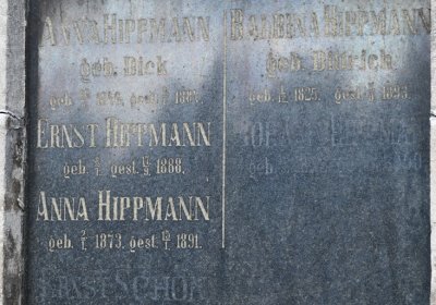 KOvářská, Omnium, 2020