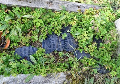 KOvářská, Omnium, 2020